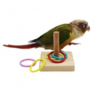 Pets Bird Parrot Toys Play Set for Cage, Colorful Chewing Interaction of intelligence   toy for Small Parrots, Macaws